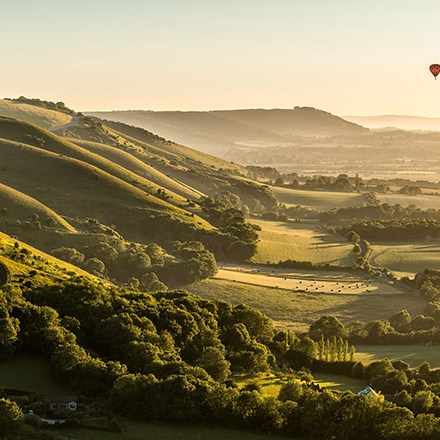 a close up of a hillside next to a body of water