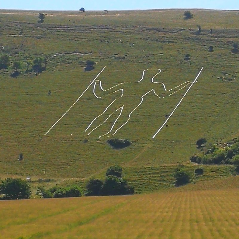 a large green field with trees in the background