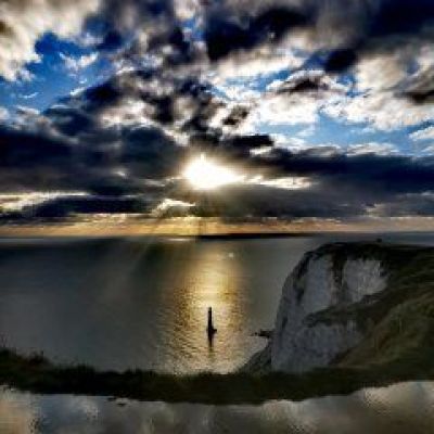 a close up of an animal