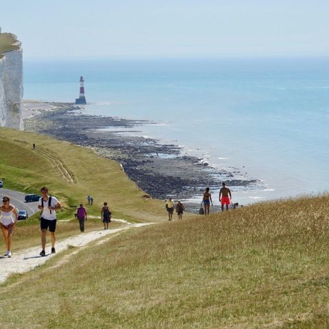 a group of people on a beach near a body of water