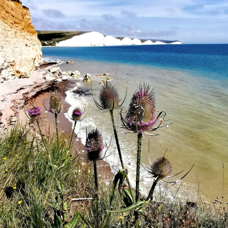 a group of people standing next to a body of water