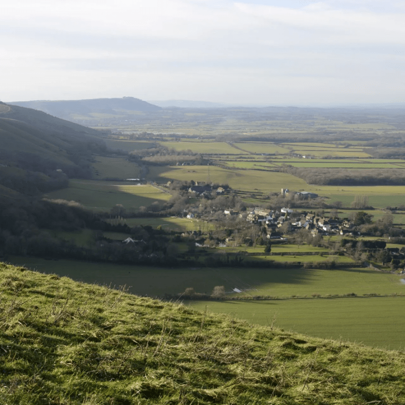 a large green field with a mountain in the background