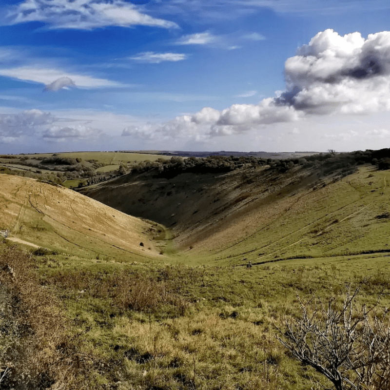 a close up of a grassy hill