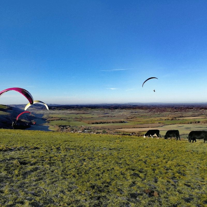 a group of people flying kites in a field