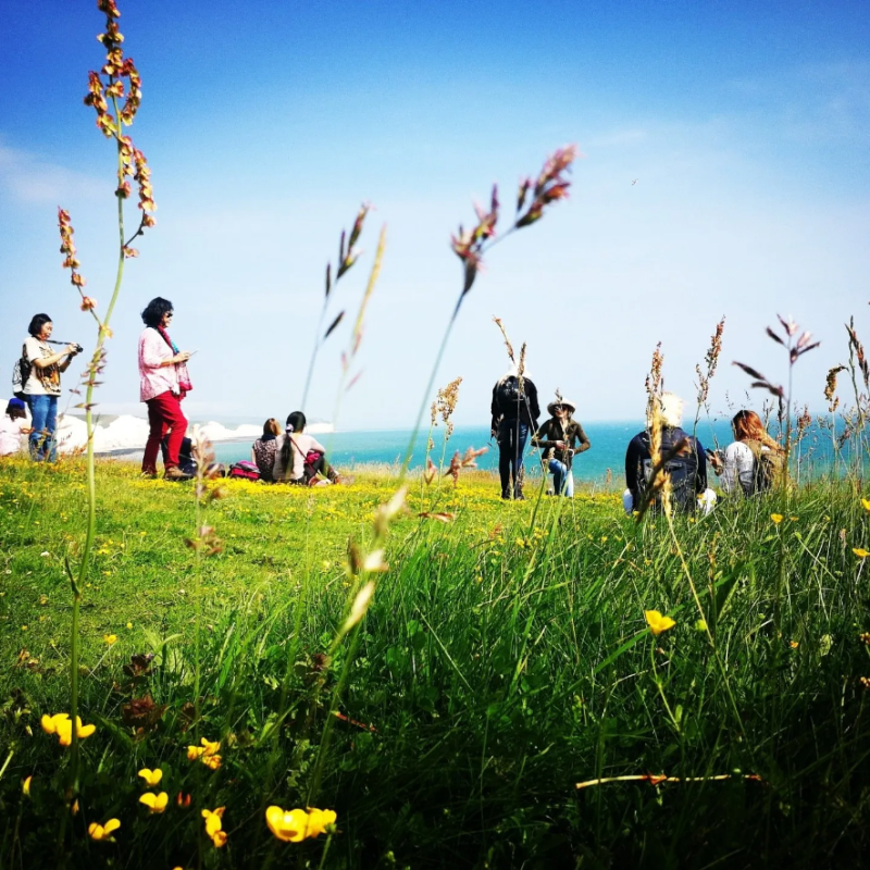 a group of people flying kites in a field