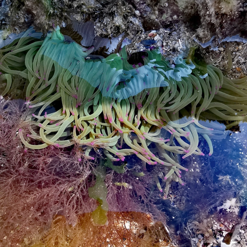 a group of people in a field