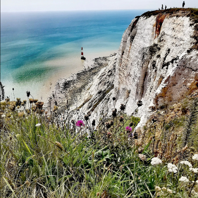 a group of people walking on a grassy hill