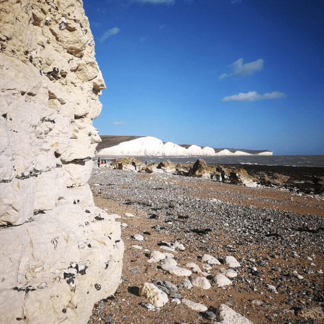 a close up of a rock