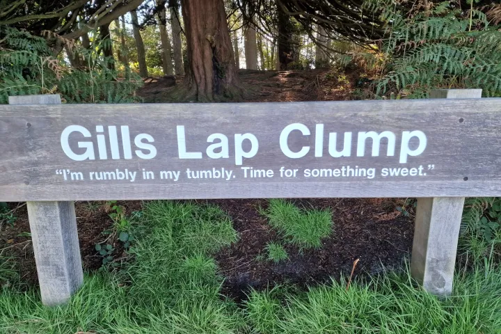 a sign on a wooden bench sitting in the grass
